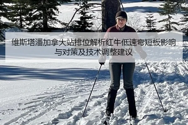 维斯塔潘加拿大站排位解析红牛低速弯短板影响与对策及技术调整建议