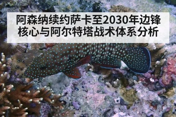 阿森纳续约萨卡至2030年边锋核心与阿尔特塔战术体系分析