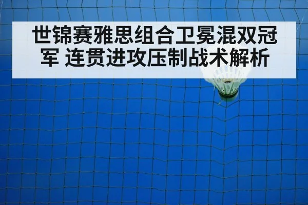 世锦赛雅思组合卫冕混双冠军 连贯进攻压制战术解析